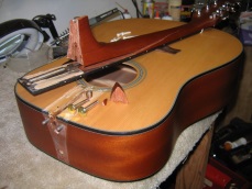 Jackson Acoustic